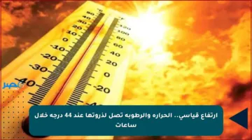 ارتفاع قياسي.. الحرارة والرطوبة تصل لذروتها عند 44 درجة خلال ساعات